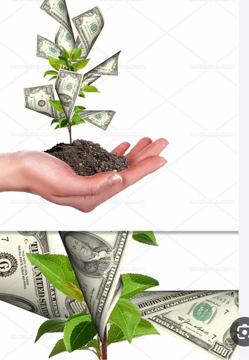 سرمایه گذاری|خدمات مالی، حسابداری، بیمه|نیشابور, هفده شهریور|دیوار