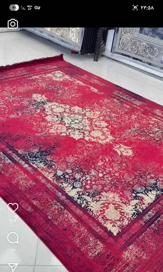 مدوسا فرش|فرش|تولم شهر, |دیوار