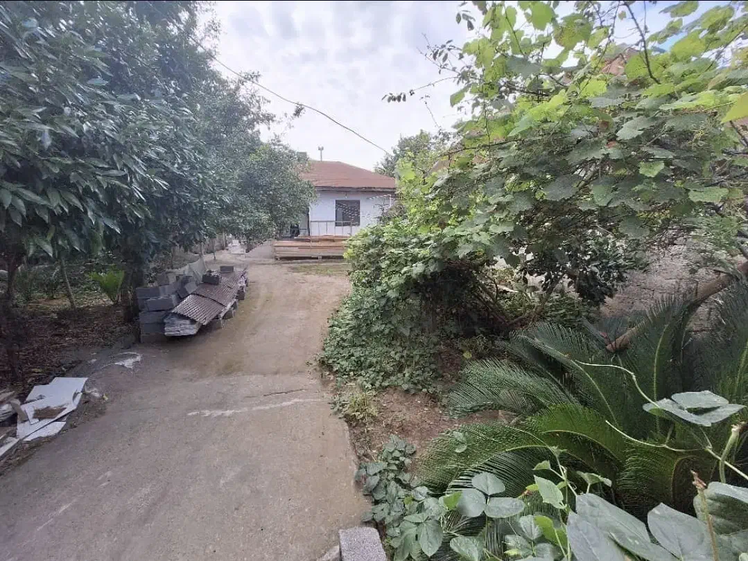 ۵۶۰ متر خانه کلنگی روستایی|فروش خانه و ویلا|خشکبیجار, |دیوار