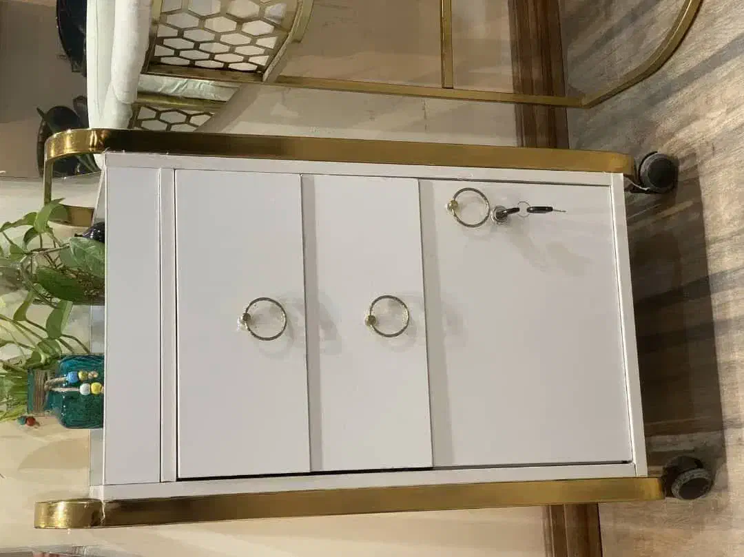 ترولی کمد دار دکور|مبلمان خانگی و میز عسلی|شاهرود, |دیوار