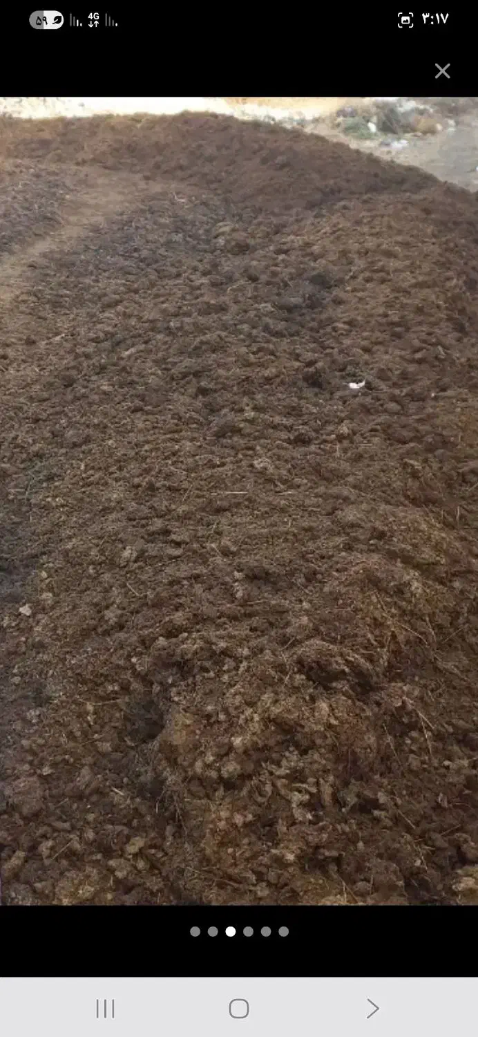 کود گاو وگوسفندی|خدمات باغبانی و درختکاری|ارومیه, |دیوار