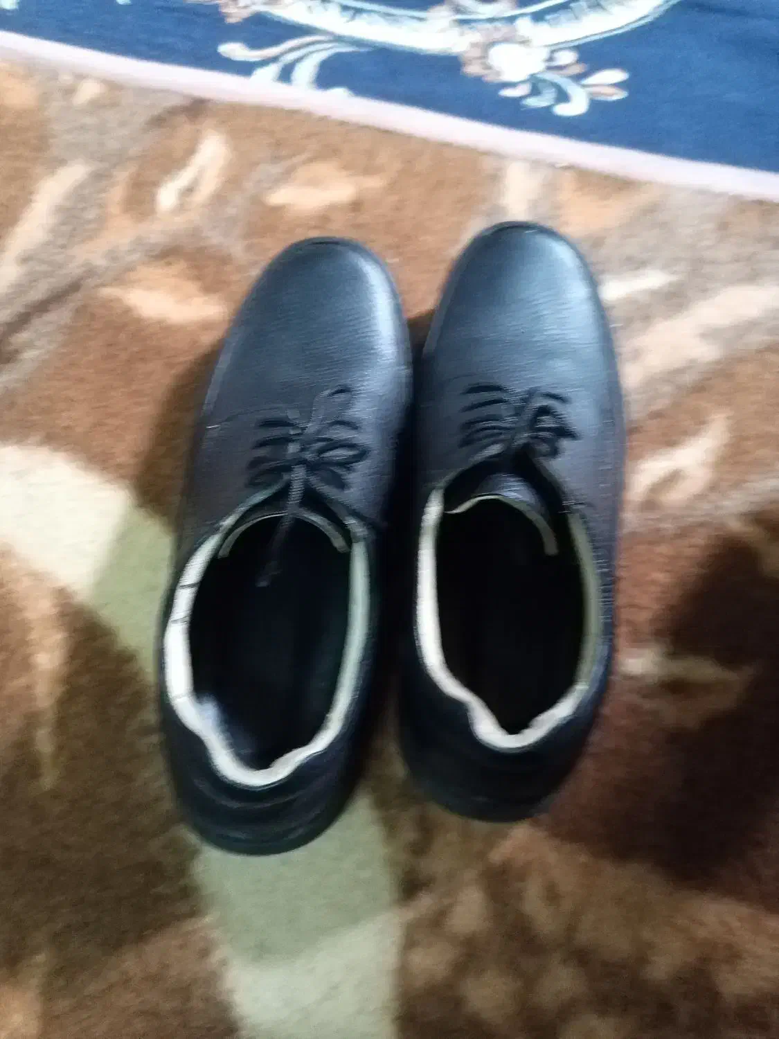 کفش چرم نو|کیف، کفش، کمربند|قم, شهرک امام حسن|دیوار