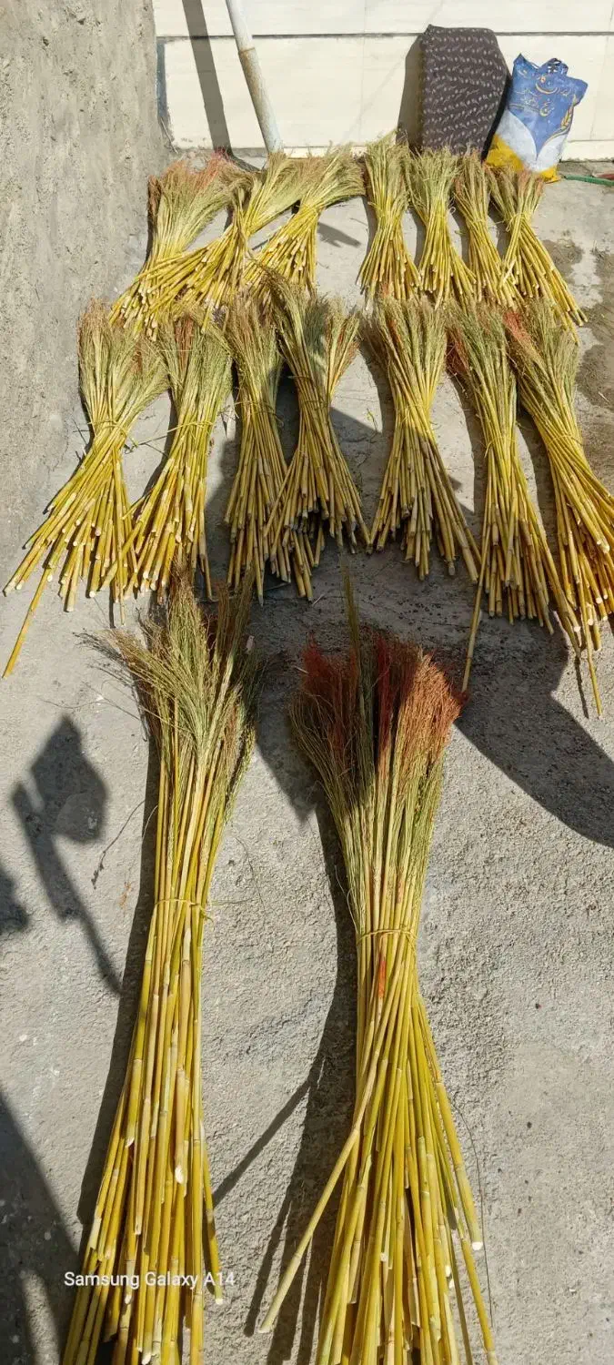 جارو خوب|لوازم نظافت|الشتر, |دیوار