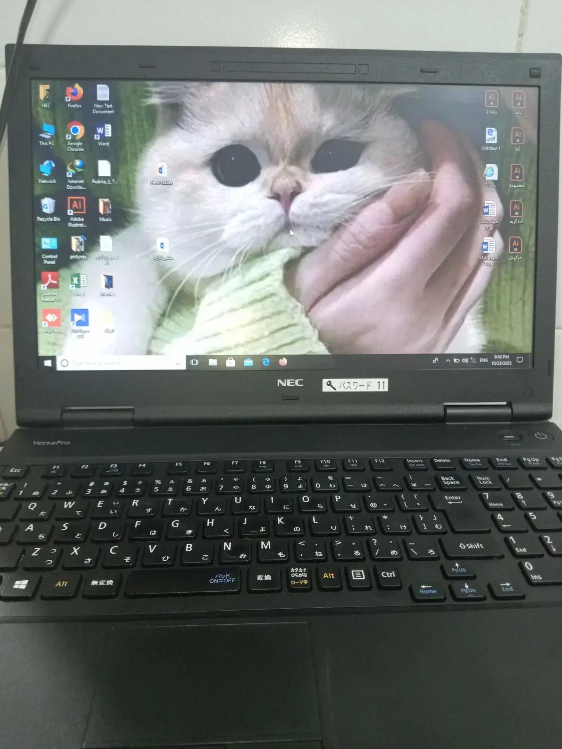 لپ تاپ|رایانه همراه|بم, |دیوار