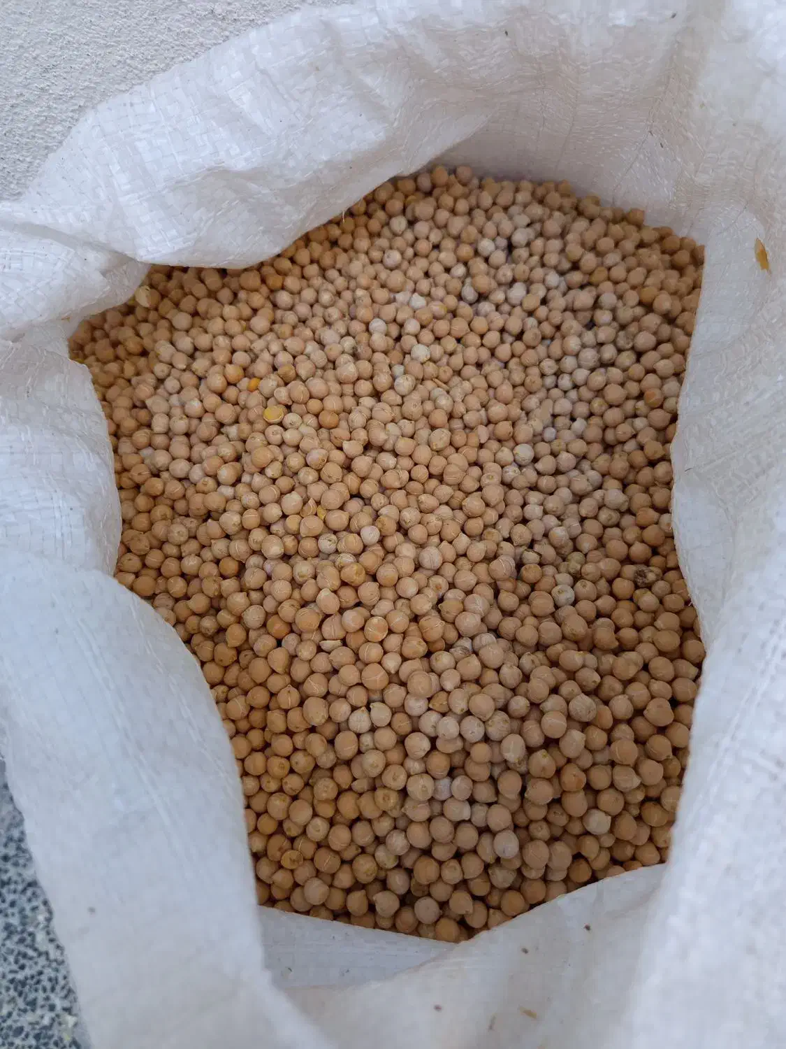 نخود|خوردنی و آشامیدنی|شیراز, شهدای شهرک سعدی|دیوار