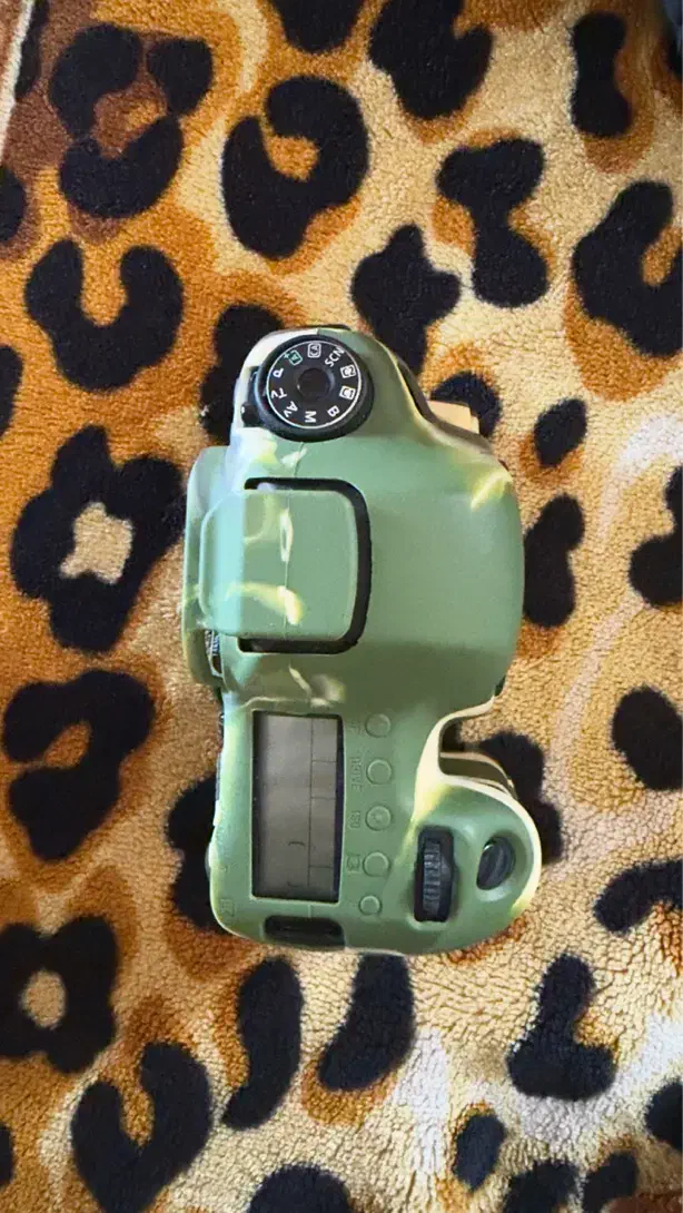 6D دوربین|دوربین عکاسی و فیلمبرداری|کیش, |دیوار