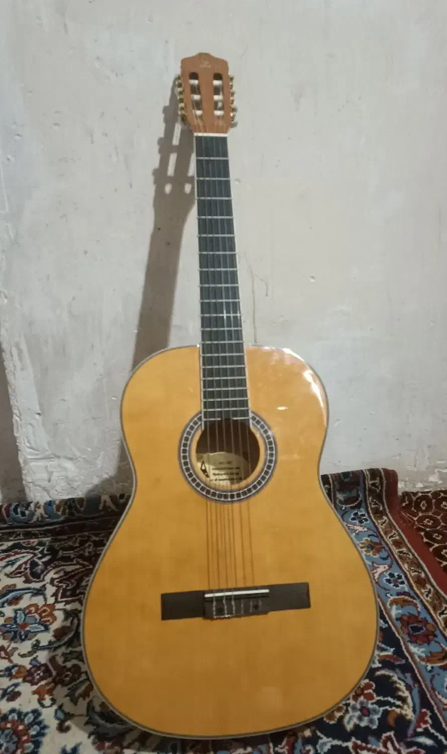 گیتار|گیتار، بیس، امپلیفایر|گرگان, |دیوار