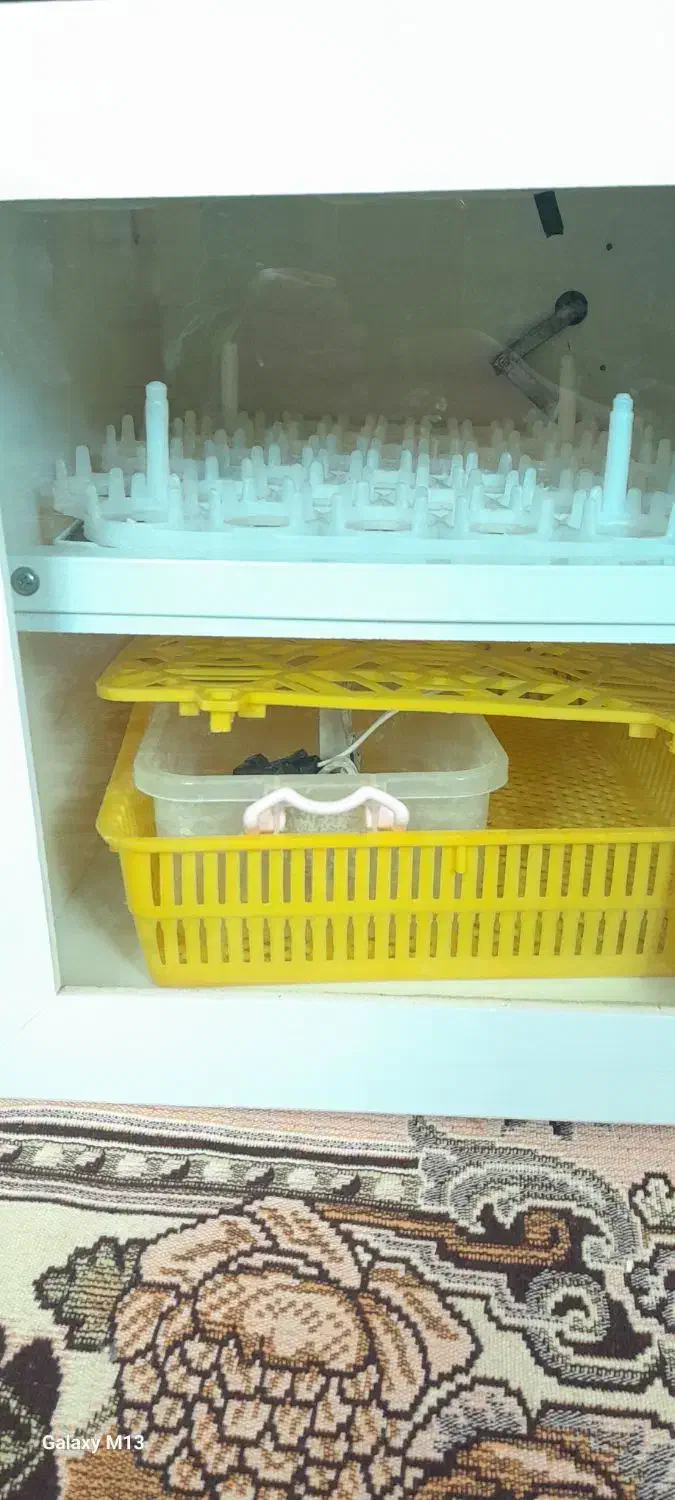 دستگاه جوجه کشی ۴۲تایی|لوازم جانبی حیوانات|ملایر, |دیوار