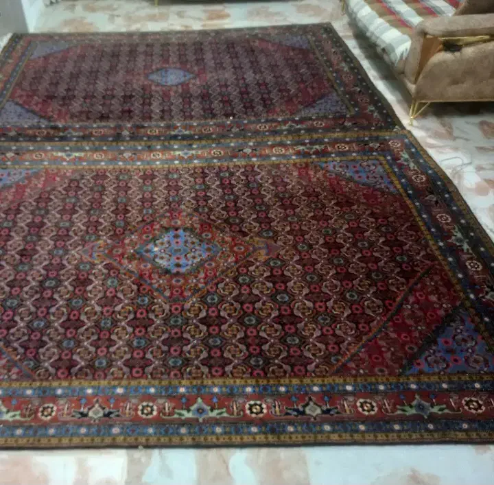 ۶ متری|فرش|اردبیل, |دیوار