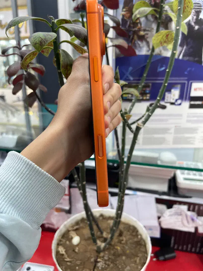 17 pro max|موبایل|بانه, |دیوار