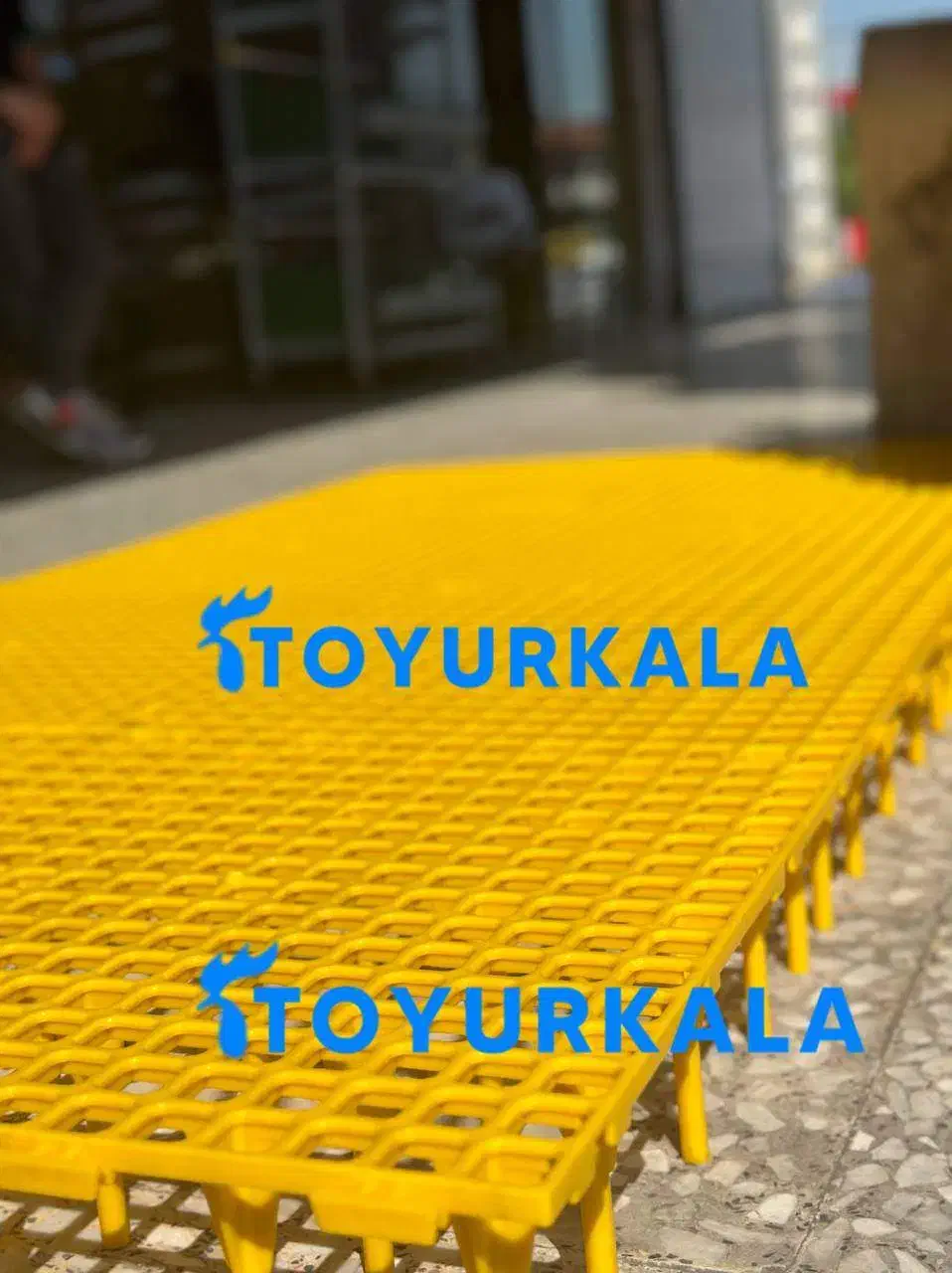 اسلت|عمده‌فروشی|بابلسر, |دیوار