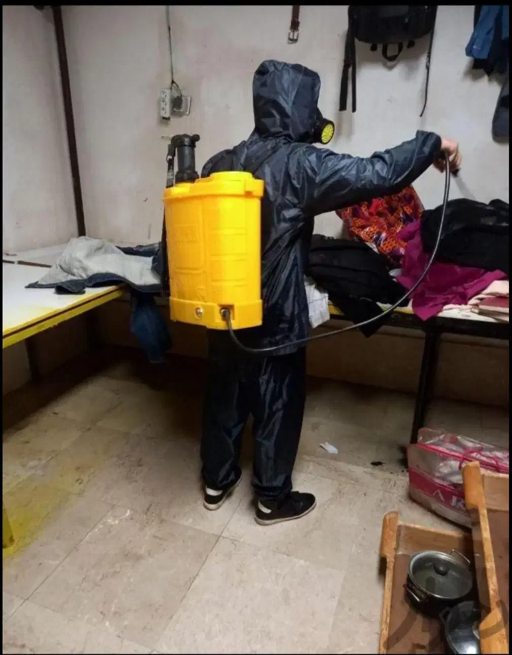 سمپاشی و موریانه زدایی تخصصی با مجوز رسمی|خدمات نظافت|دزفول, |دیوار