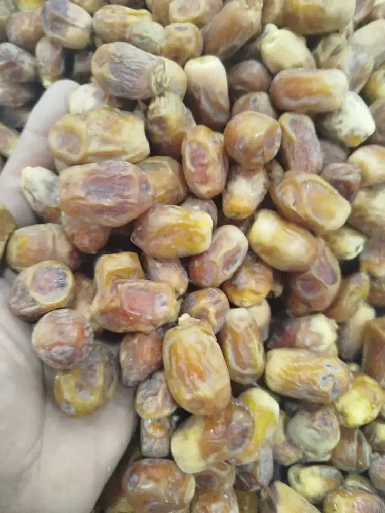 زاهدی (قصب)بهبهان|عمدهفروشی|سعدآباد, |دیوار