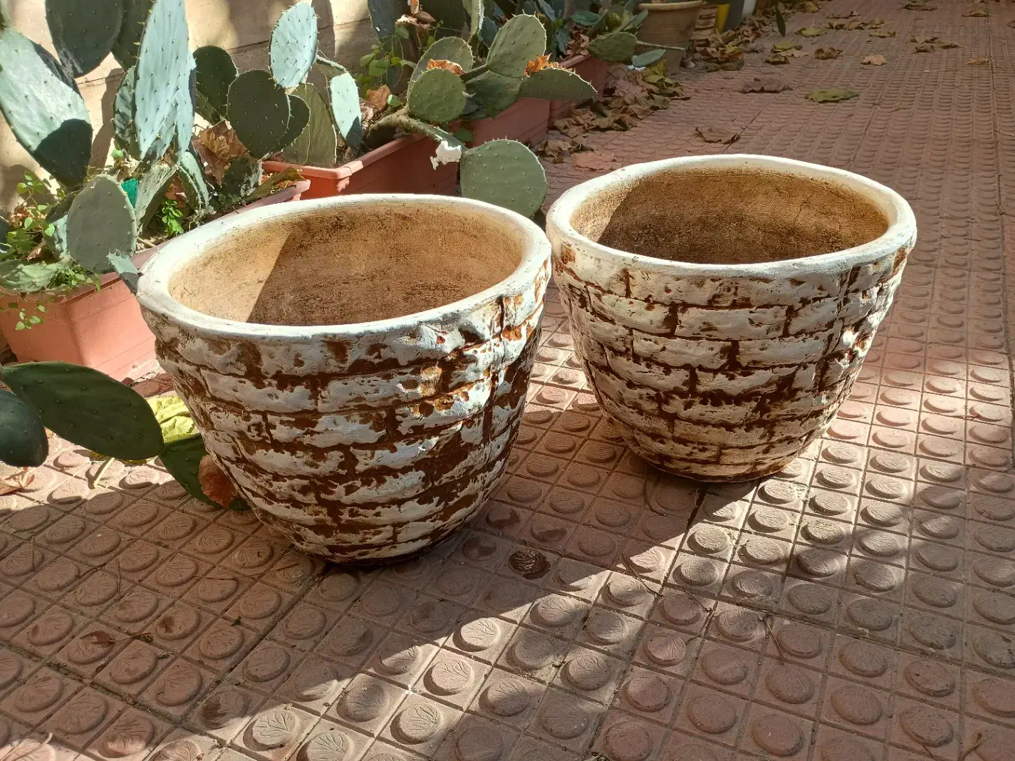 گلدان|گل و گیاه طبیعی|تهران, سعادتآباد|دیوار