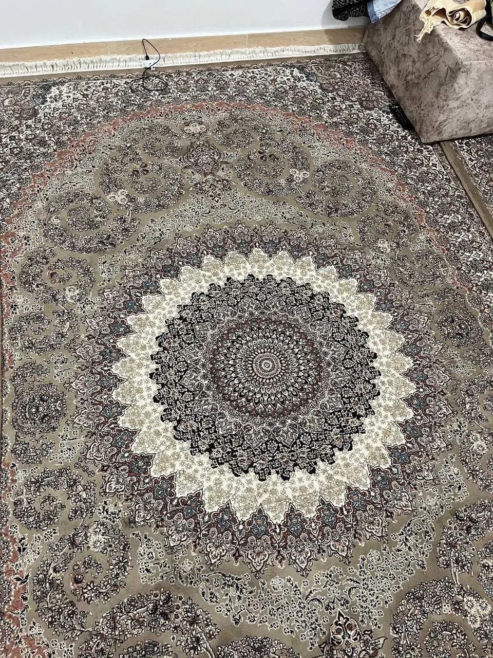 دو عدد فرش ۶ متری ۷۰۰ شانه تر تمیز بدون سوختگی|فرش|رشت, معلولین|دیوار
