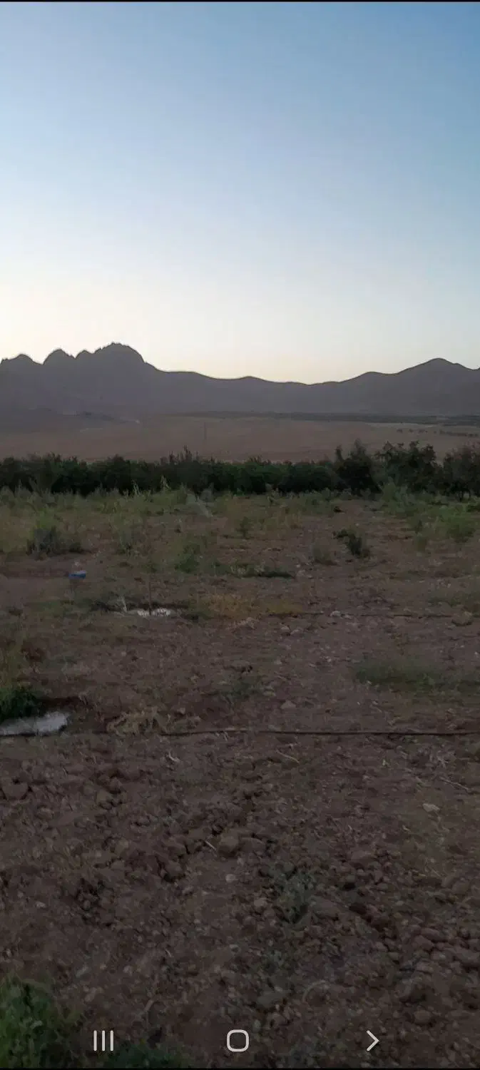 فروش طرح کشاورزی5500 مترطرح عمان سامان|اجارهٔ دفتر صنعتی، کشاورزی، تجاری|سامان, |دیوار