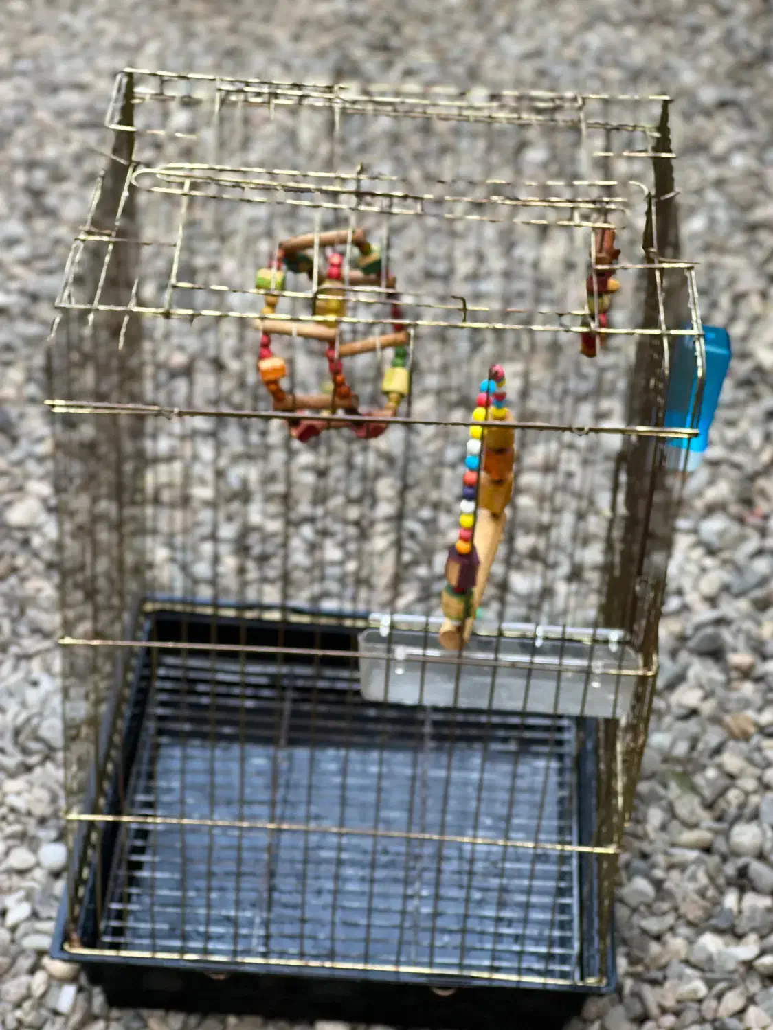 قفس کاسکو با لوازم|لوازم جانبی حیوانات|فومن, |دیوار