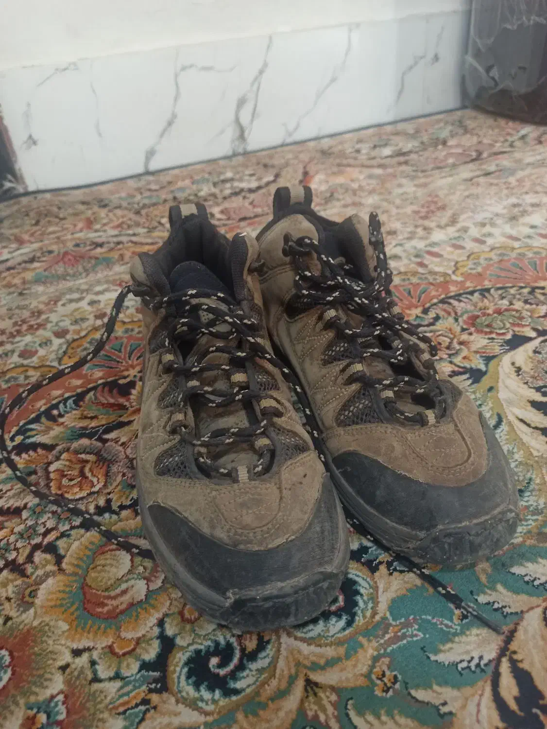 کفش کوهنوردی|کیف، کفش، کمربند|شیراز, تندگویان|دیوار