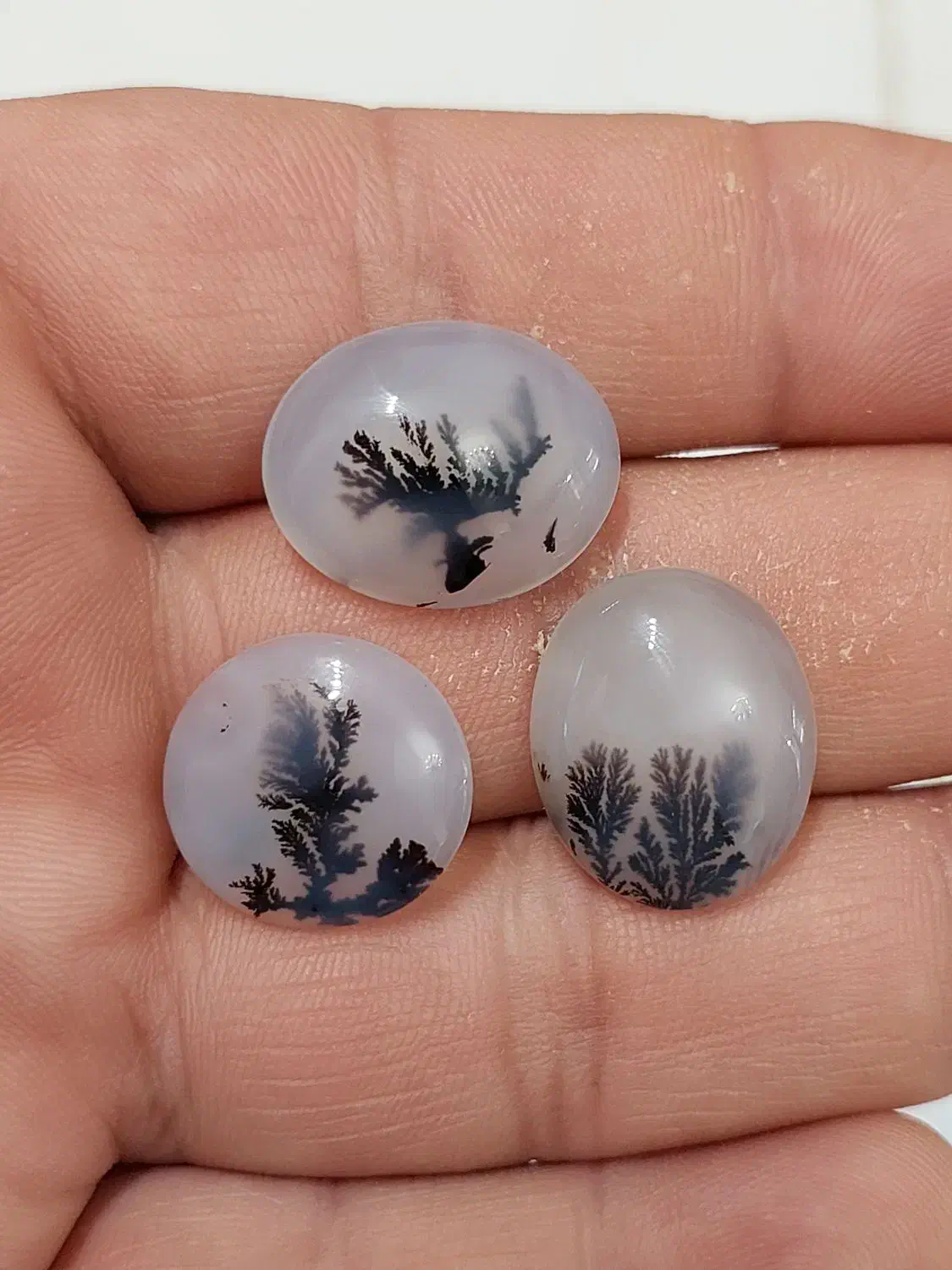 سنگ شجر|بدلیجات|کرمانشاه, |دیوار