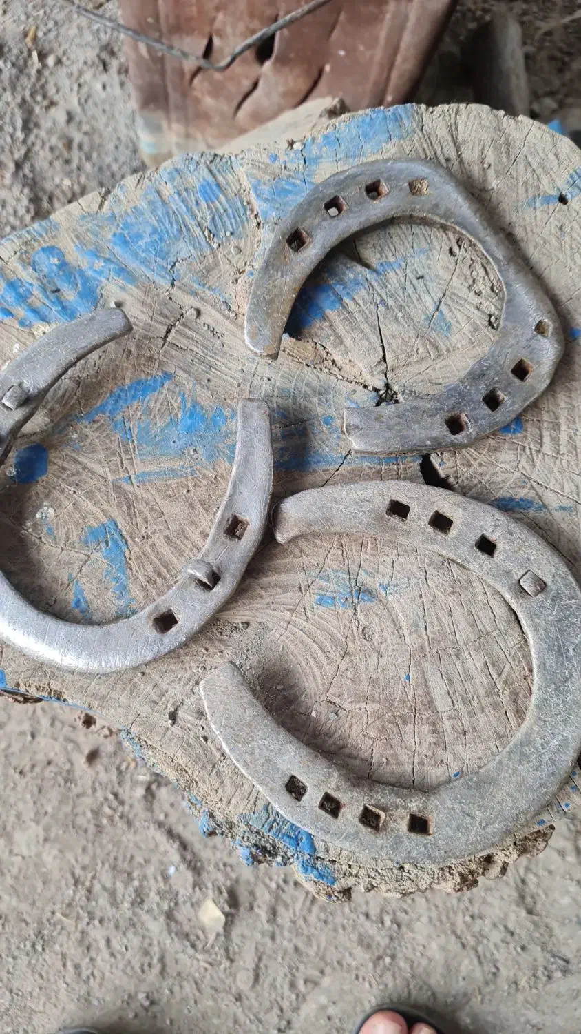 نعل کهنه اسب|اسب و تجهیزات اسبسواری|اصفهان, رسالت|دیوار