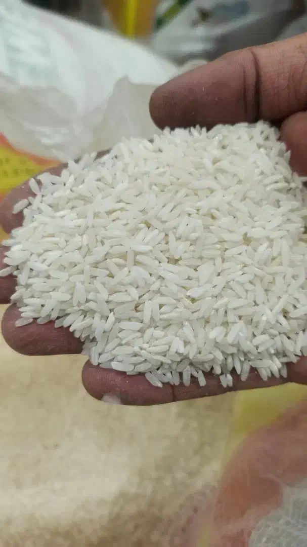 برنج‌صدری‌هاشمی‌|عمده‌فروشی|تبریز, |دیوار