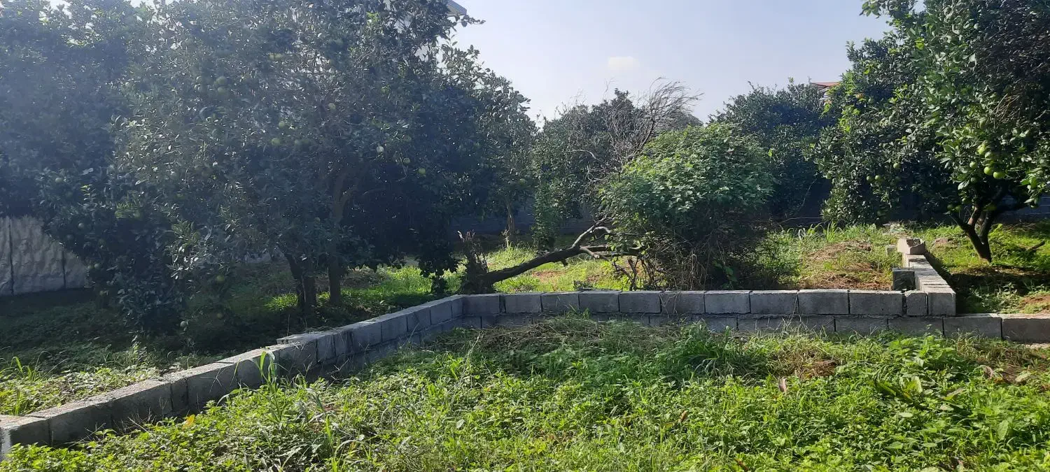 فروش زمین|فروش زمین و ملک کلنگی|دالخانی, |دیوار