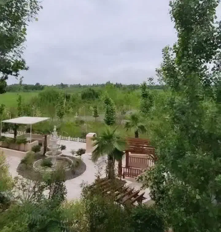 فروش زمین آماده ساخت ۲۵۰ متری|فروش زمین و ملک کلنگی|دابودشت, |دیوار