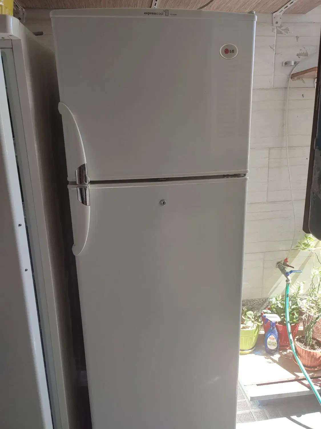 یخچال LG|یخچال و فریزر|شیراز, لاله|دیوار