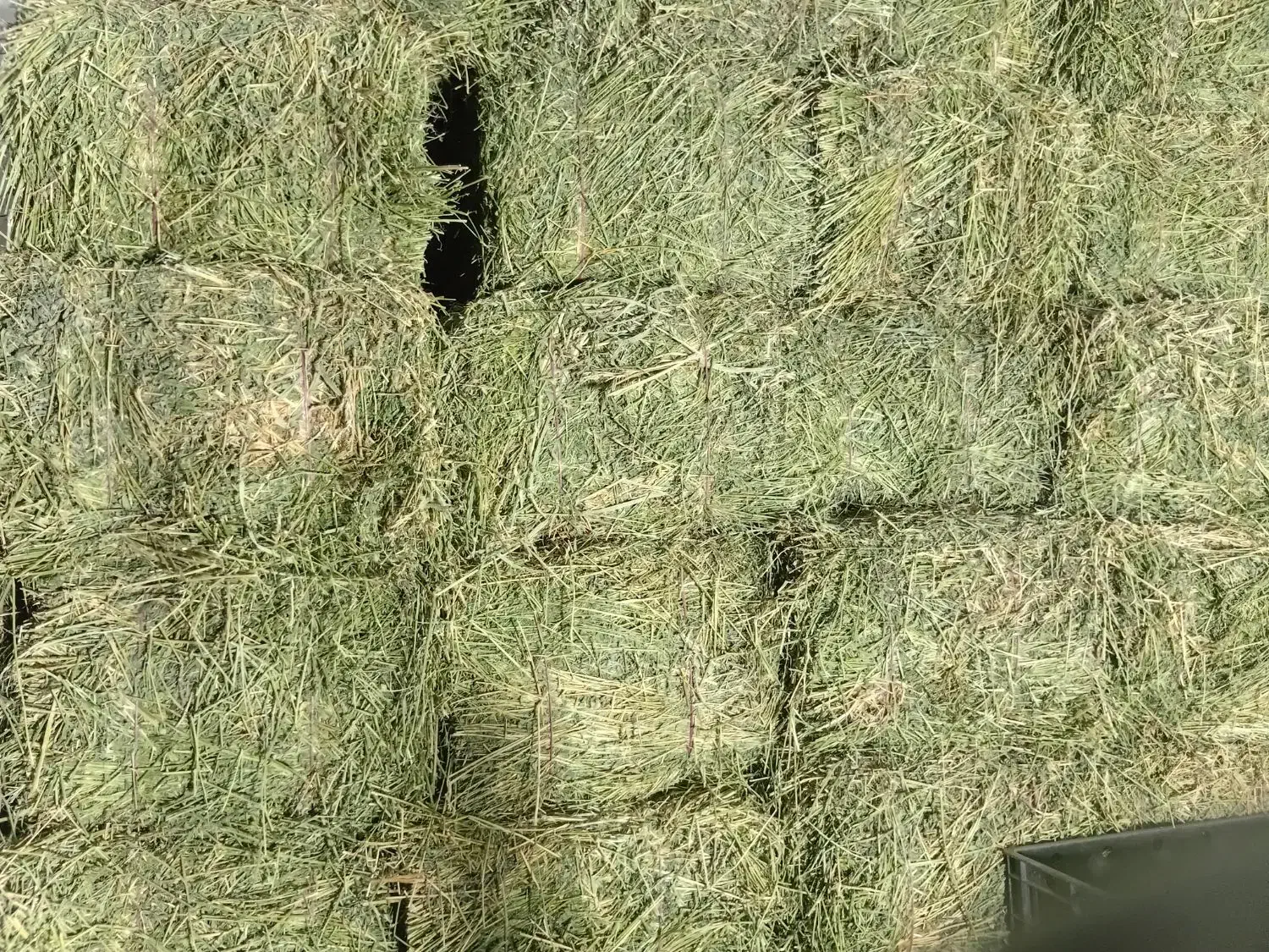 یونجه درجه یک ۱۰۰۰ کیلو|خدمات باغبانی و درختکاری|محمدیه-قزوین, |دیوار