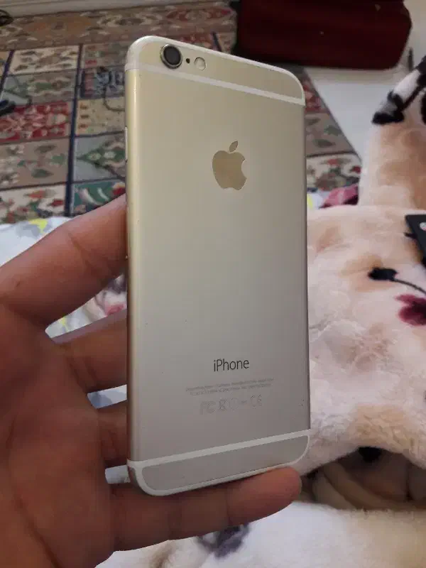 ایفون 6|موبایل|رفسنجان, |دیوار