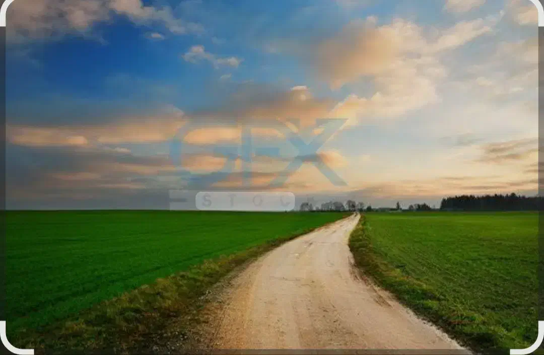 زمین دشت انقلاب|فروش زمین و ملک کلنگی|کویرات, |دیوار