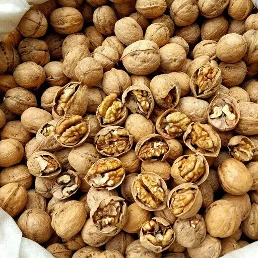 گردو|خوردنی و آشامیدنی|نی‌ریز, |دیوار