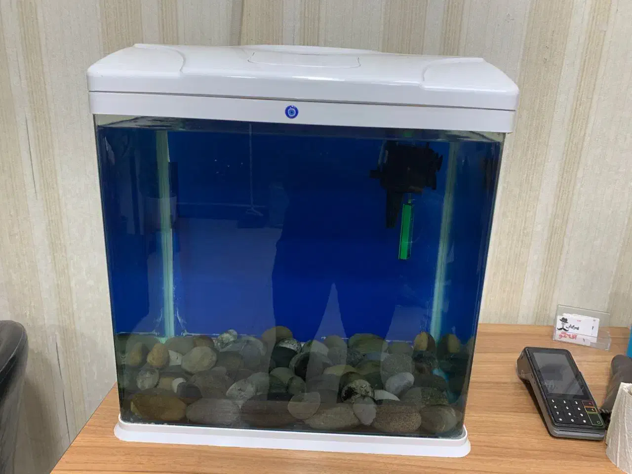 آکواریوم|ماهی|خرم‌آباد, |دیوار