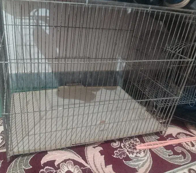 قفس پرنده|لوازم جانبی حیوانات|شوشتر, |دیوار