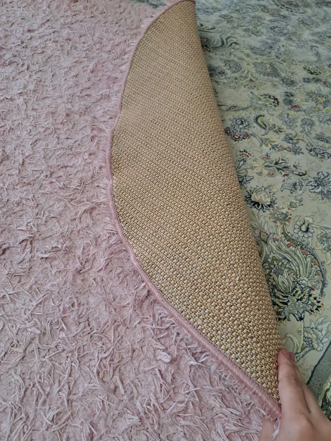 فرش نو|فرش|رشت, شکار اسطلخ|دیوار