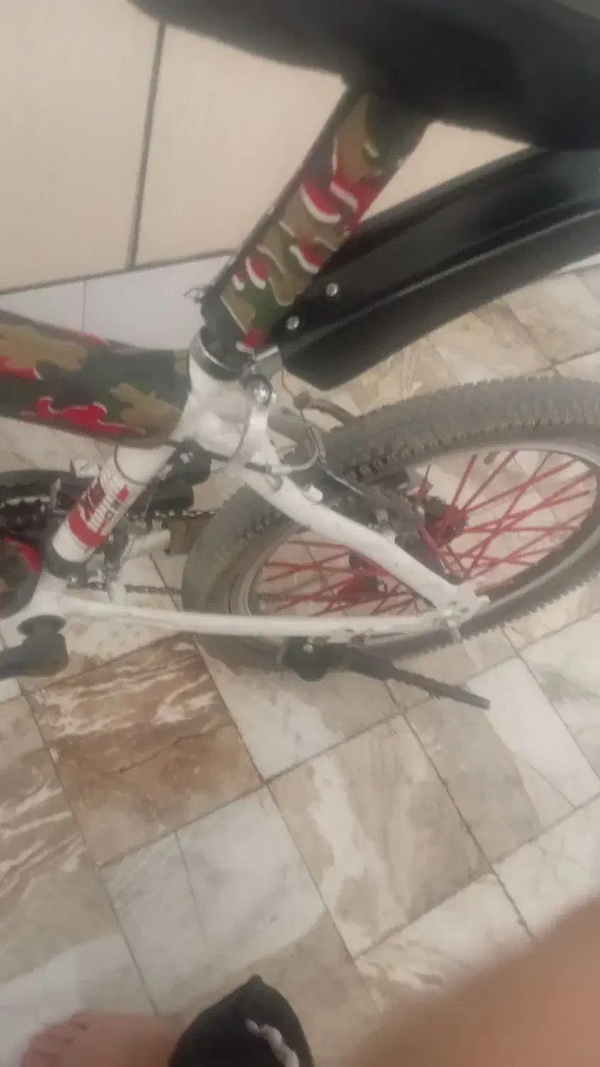 دوچرخه 20|دوچرخه، اسکیت، اسکوتر|الیگودرز, |دیوار