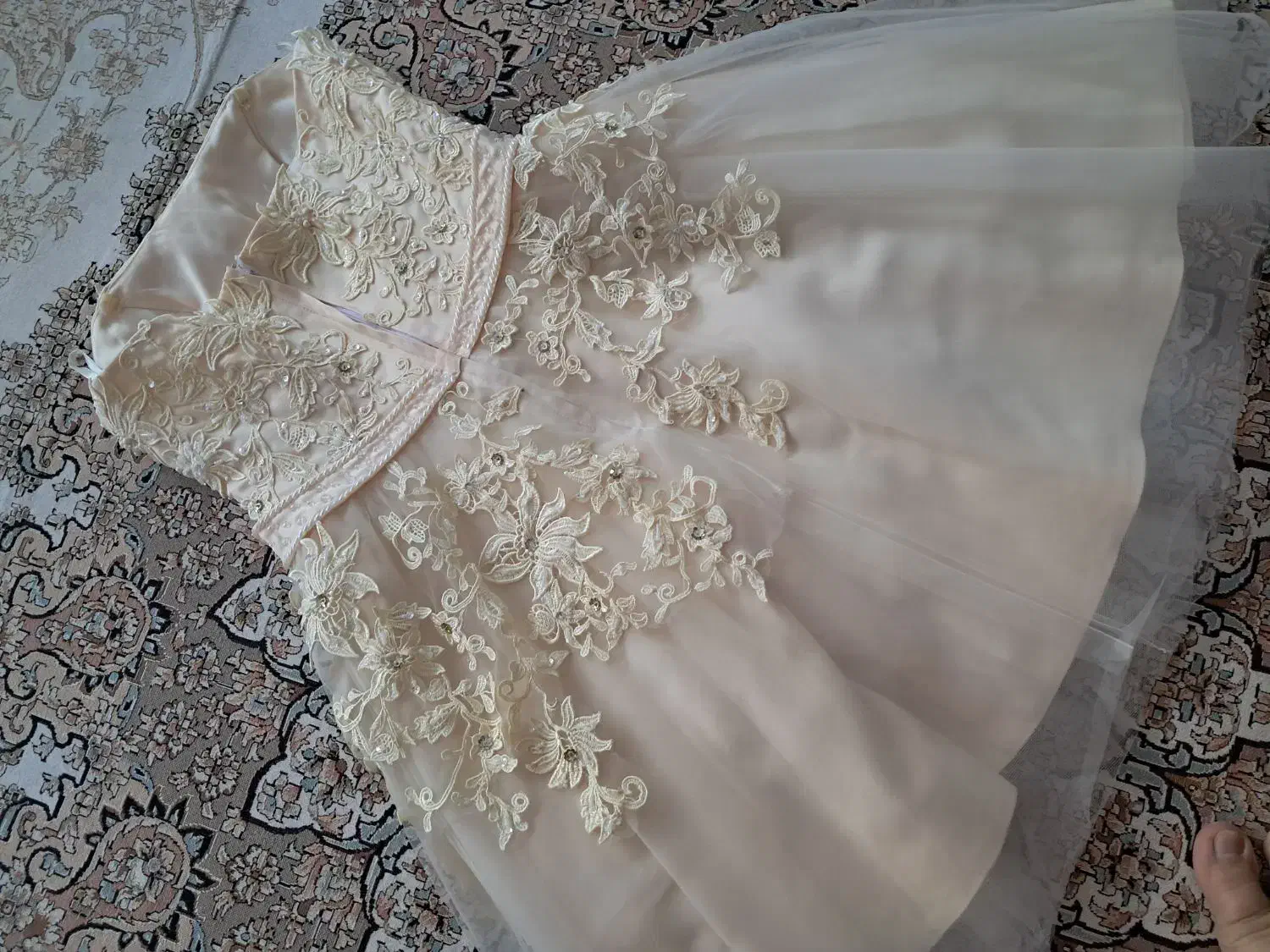 لباس مجلسی|لباس|اصفهان, شاهد|دیوار