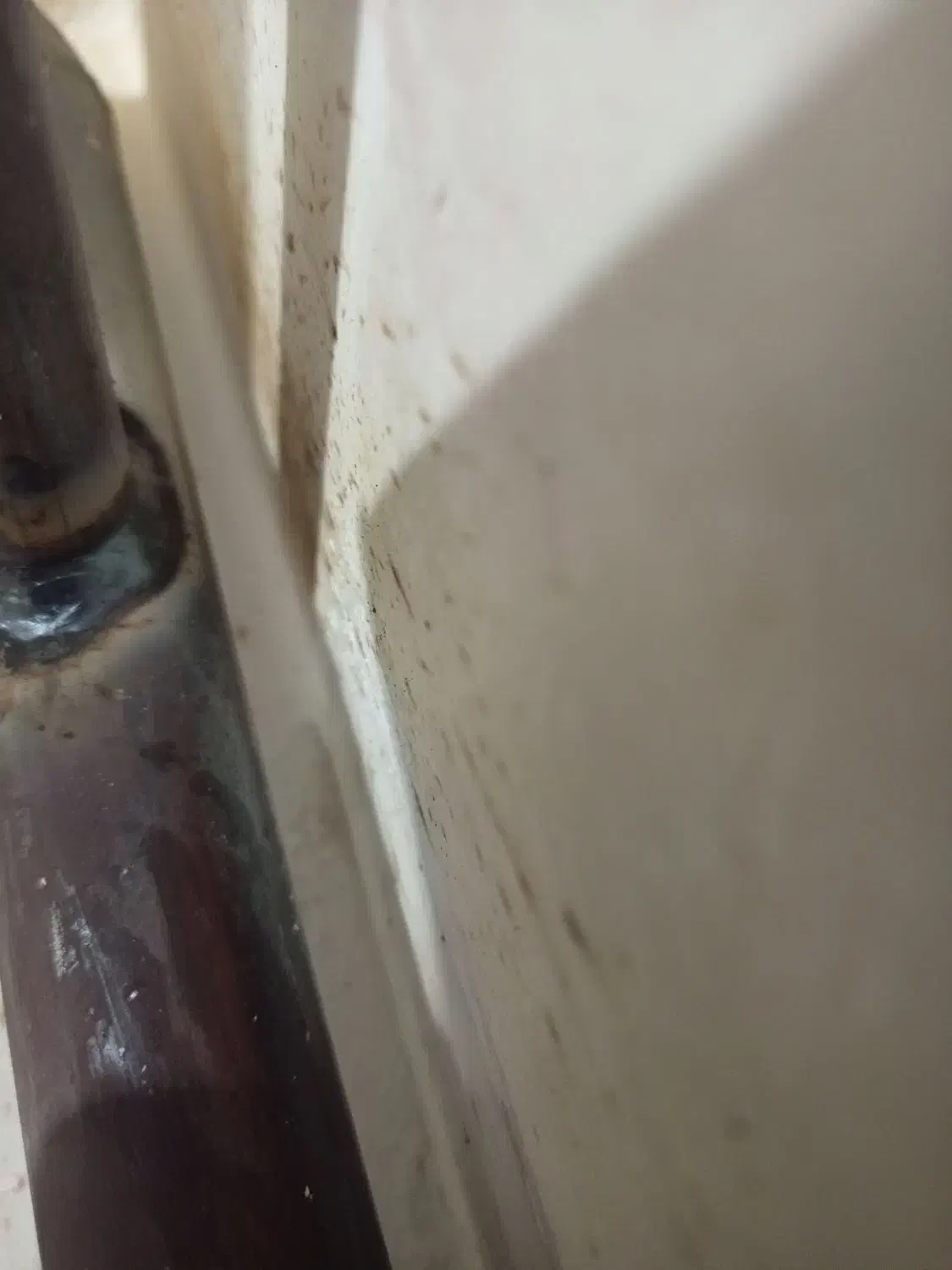 لوله کشی گاز و جوشکاری لوله آتش نشانی با مجوز|خدمات پیشه و مهارت|همدان, |دیوار