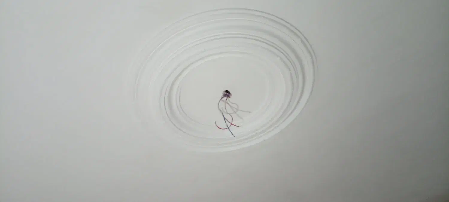 گچکاری ساختمان|خدمات پیشه و مهارت|اهر, |دیوار