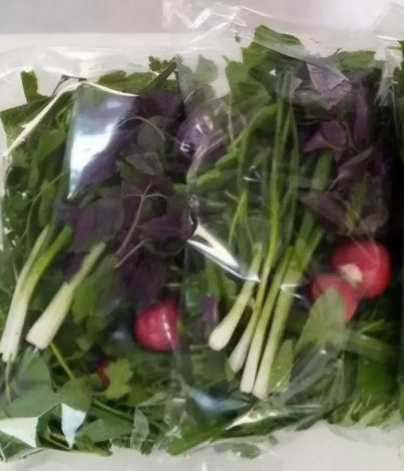 سبزی خوردن پاک شده بسته بندی|خوردنی و آشامیدنی|محمدیه-قزوین, |دیوار