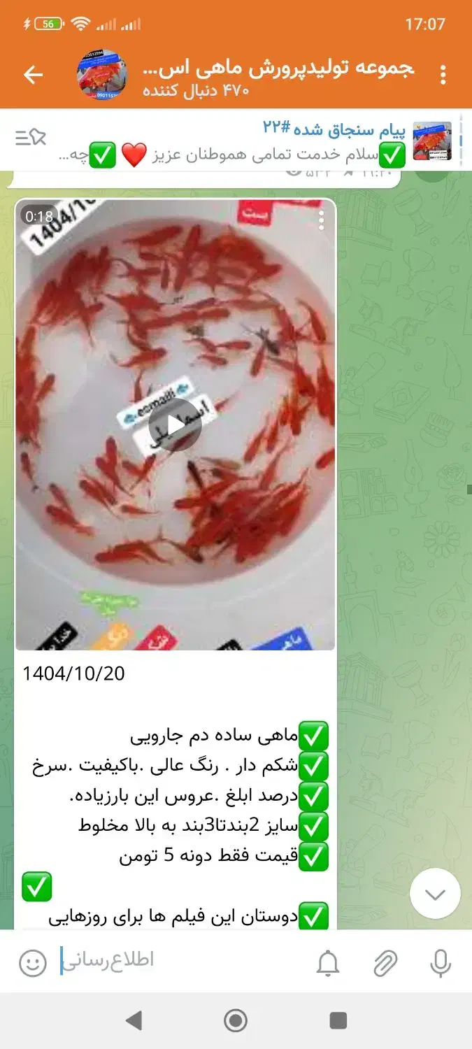 تلسکپی|ماهی|قم, دورشهر|دیوار