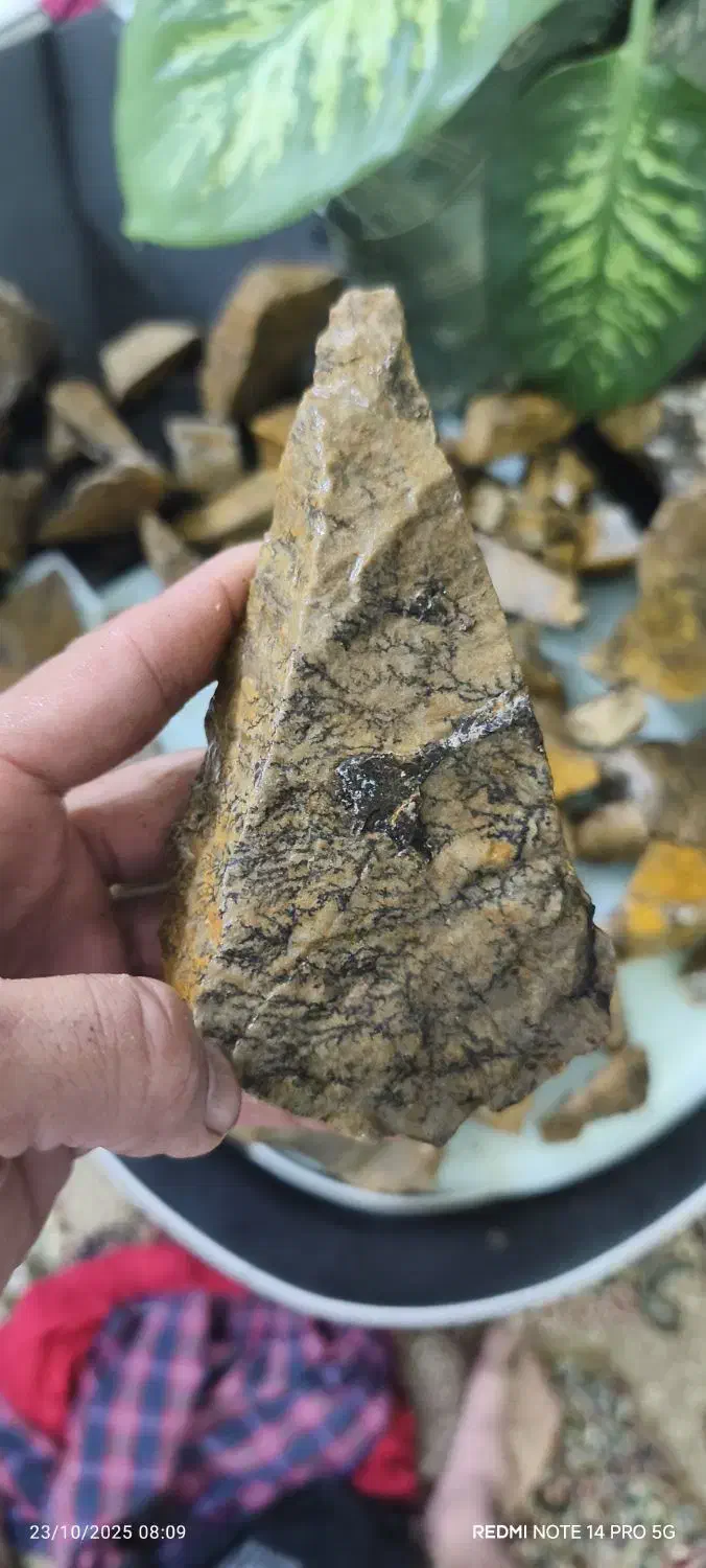 سنگ شجرکلکسیونی|کلکسیون اشیاء عتیقه|مشهد, هفده شهریور|دیوار