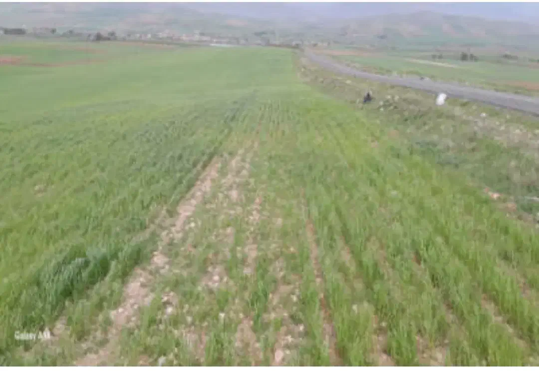 زمین کشاورزی آبی|فروش زمین و ملک کلنگی|گیلان غرب, |دیوار