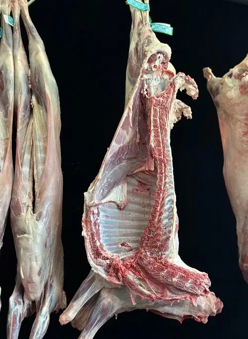 گوشت گوسفندی گرم کیلویی ۷۰۰|خوردنی و آشامیدنی|محمدشهر, ولدآباد|دیوار