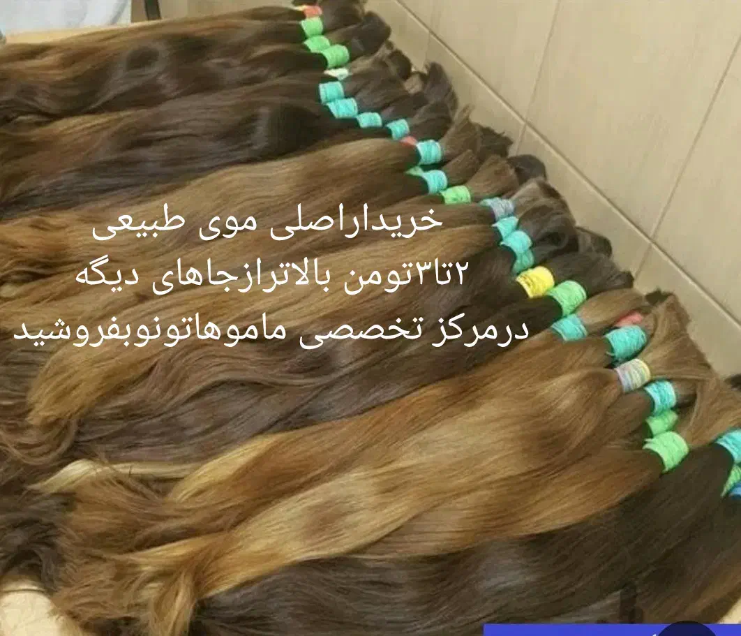 مو|آرایشی، بهداشتی، درمانی|قم, انسجام|دیوار