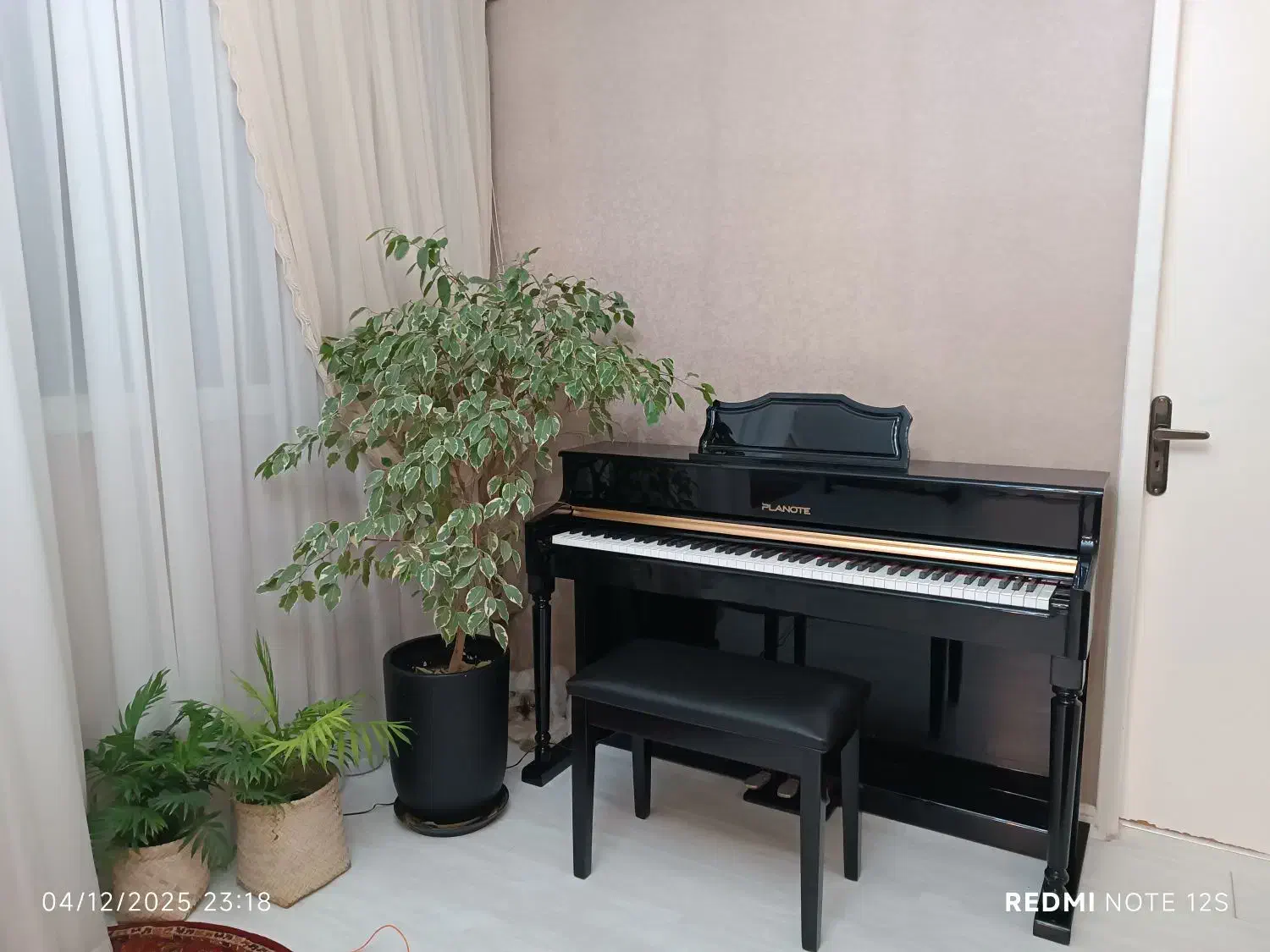 پیانو sw95  پلنوت فرانسه|پیانو، کیبورد، آکاردئون|مشهد, نوفل لوشاتو|دیوار