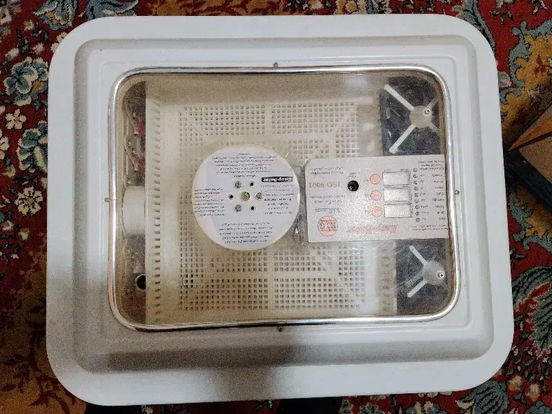 دستگاه جوجه کشی ۹۶ تایی|لوازم جانبی حیوانات|کاشمر, |دیوار