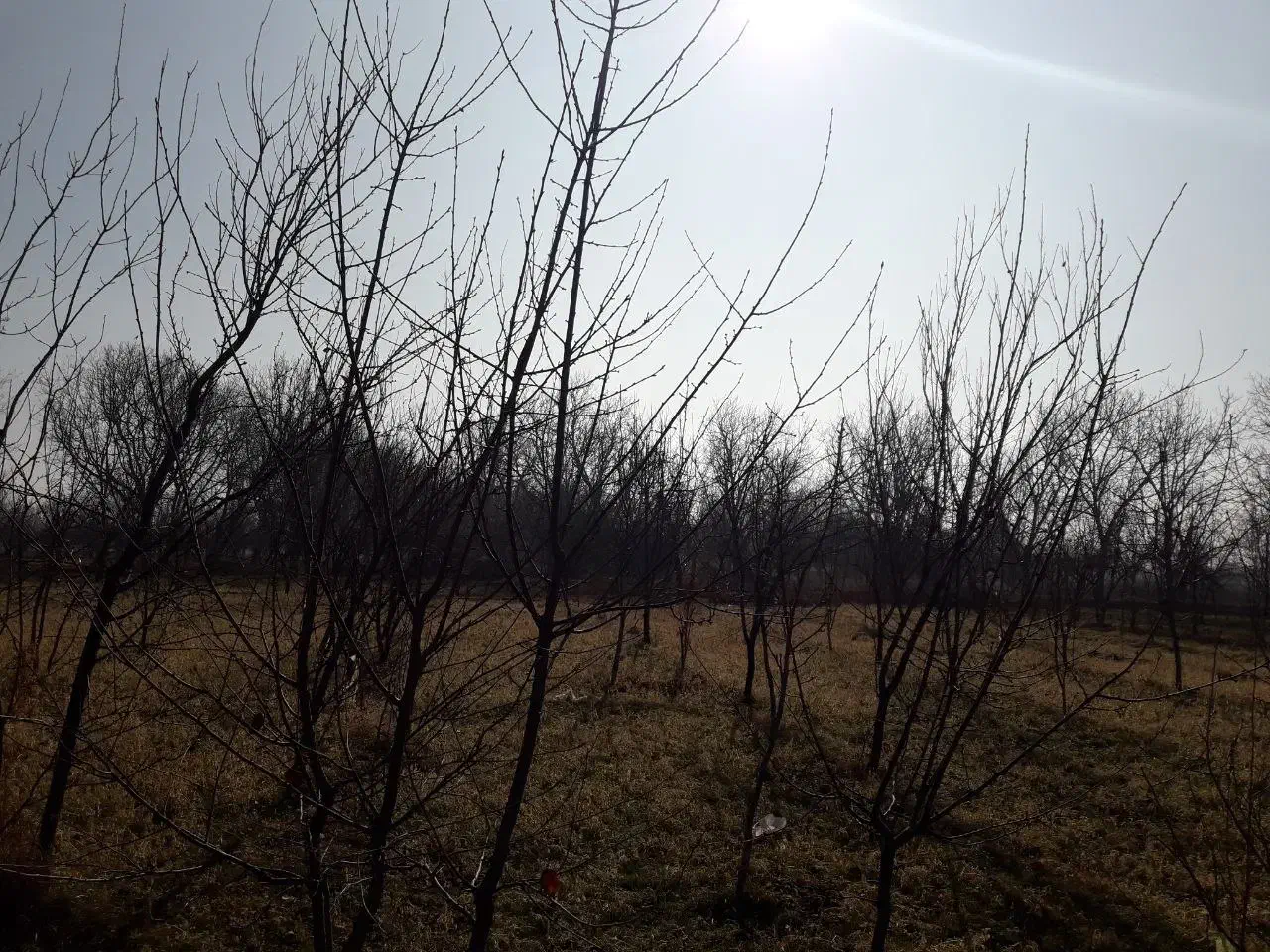 باغ الوان در روستای گوروان عجبشیر|فروش زمین و ملک کلنگی|عجب شیر, |دیوار