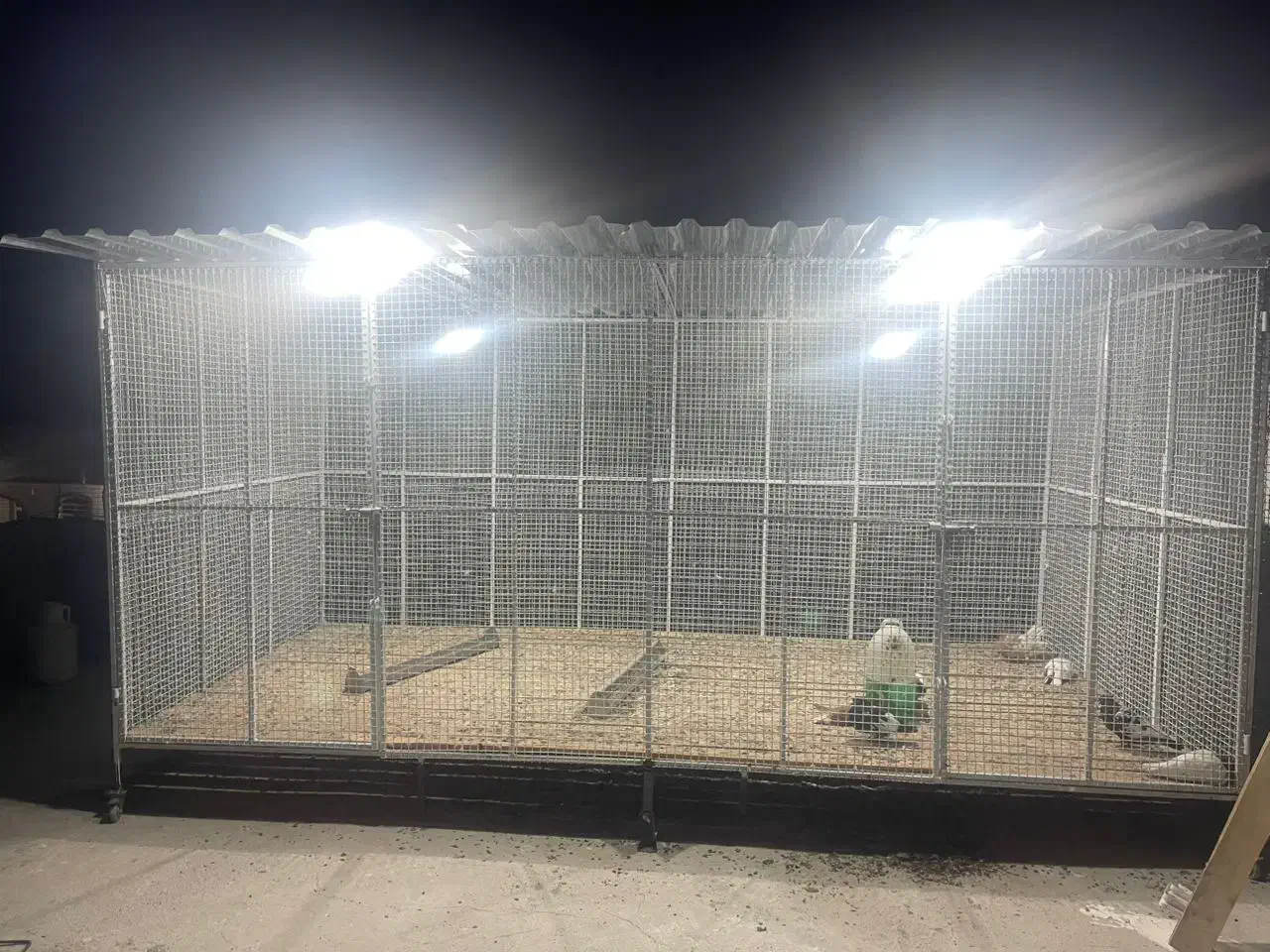 قفس پرنده|حیوانات مزرعه|گله دار, |دیوار