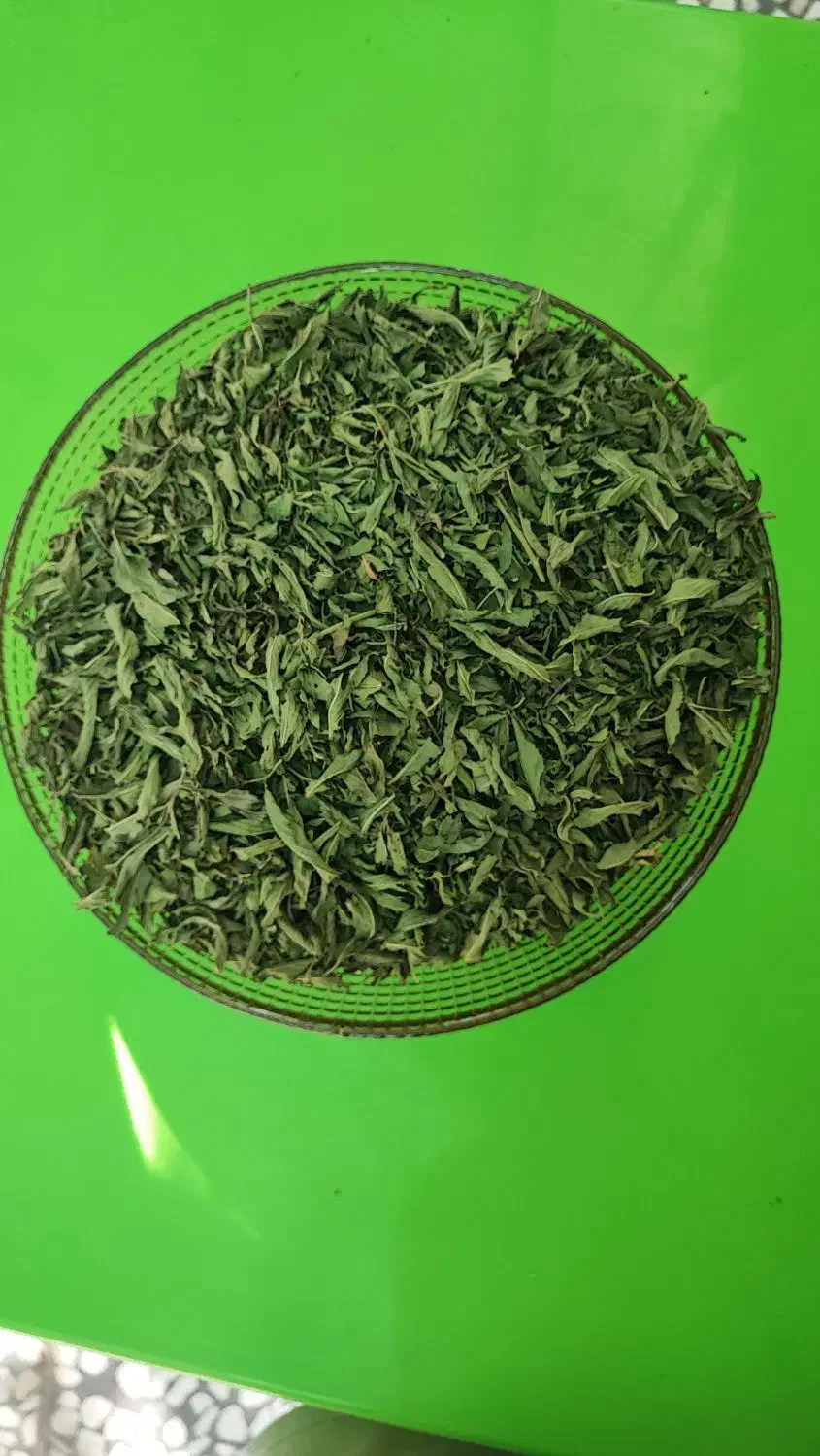 نعنا خشک شده باغی|خوردنی و آشامیدنی|نجف‌آباد, مزرعه طالب|دیوار